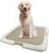 PAWISE Puppy Pad Tray Dog Toilet Tray Pet Pee Pad Holder,Portable Puppy Training Pad, Indoor Dog Litter Tray for Dogs/Cats,60 * 60 cm