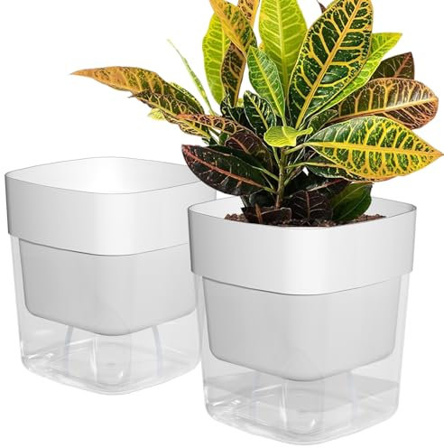 Pflanztöpfe für den Innenbereich, 15,7 cm, selbstbewässernder Blumentopf für Zimmerpflanzen, afrikanische Veilchen, Übertopf mit sichtbarem Reservoir, selbstbewässernder Pflanztopf für Kräuter,