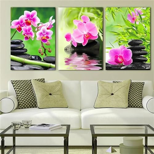 3 Stück Diamant Painting Bilder Phalaenopsis Orchidee Diamond Painting Erwachsene Groß 5D Diamond Art Painting Kinder Basteln Voll Set Diamond Painting Zubehör für Room Decor Wohnwand 40x60cm F-3364