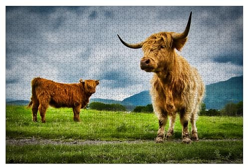 Highland Cows in The Glencoe Scotland Highlands Jigsaw Puzzles for Adults 1000 Pieces Wooden Puzzle Thick and Durable Puzzle DIY Home Decor