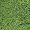 FunStick Papier Peint Vert Feuille Herbe Rouleau Adhesif Decoratif Vert Autocollant Mural Chambre Adulte Botanique Lavable Papier Adhesif pour Meuble Cuisine Vinyle Meuble Adhesif Motif 44.5CM×3M