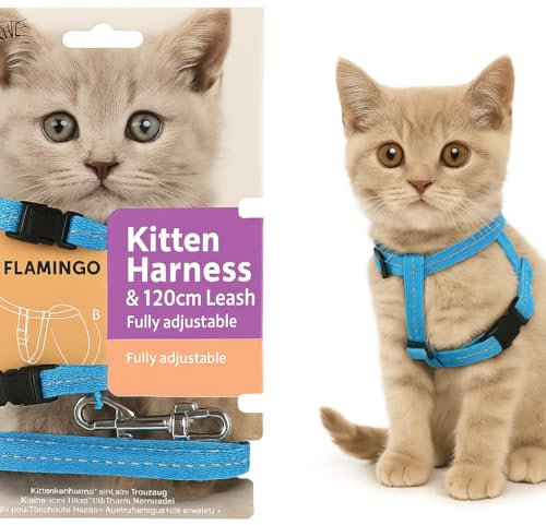 Flamingo Katzengeschirr mit Leine Elza – Blau – Für Kätzchen | Sicher, komfortabel & stilvoll!