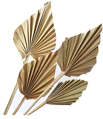 Aboiled 8 Stück Natürliche Große Getrocknete Palmblätter Getrocknete Palmspeere für Stil-Kunst-Wandbehang-Ornament-Hochzeits-