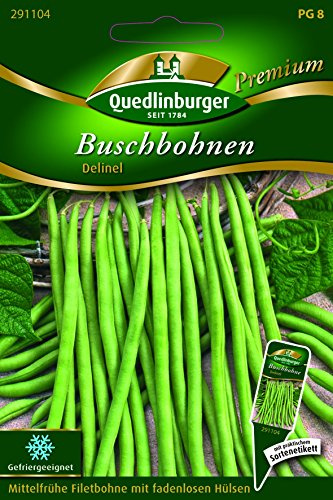 Bohnen Busch- Delinel - Phaseolus vulgaris L. var. nanusPhaseolus vulgaris L. var. nanusPhaseolus vulgaris L. var. nanusPhaseolus vulgaris L. var. nan QLB Premium Saatgut Bohnen