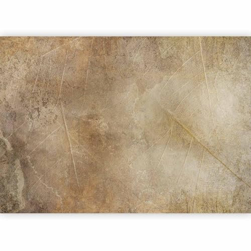 murando - Papier peint panoramique artistique 450x315 cm - Revêtement mural décoration salon - Design moderne - Marron beige gris - Texture de fond de feuilles abstraites vintage f-A-0915-a-a