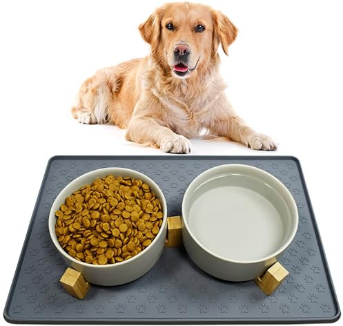 Nesirooh Hundenapf Keramik Doppel Futternapf Fressnapf Futterschüssel Wassernapf mit Bambus Ständer und Rutschfester Matte für Mittelgroße Hunde (850ml, 2-Grau)