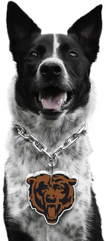 Littlearth NFL Pet Fain Chain Las Vegas Raiders