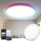 Aigostar Lampara Techo Inteligente,22W 1900 LM 2700K-6500K, Plafon LED Techo RGB WIFI Compatible con Alexa y Google Home, Lamparas de Techo Regulable para Salón/Dormitorio/Cocina/Comedor, Φ30 CM