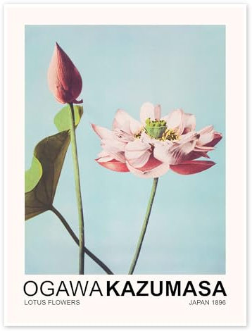 Lotus Flowers Poster von Ogawa Kazumasa 90 x 120 cm Blau Asiatische Kunst Wanddeko