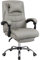Panana Office Chair with Padded Armrest Head Pillow Reclining Chair Swivel Gaming Racing Chair (With Footrest, Light Grey)