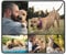 Personalised Mouse Mat Photo Custom Mouse Pad with Anti Slip Rubber Base for Game Office Home Laptop Computer, Design Desk Mat with Your Own Logo Text Printed, Collage 5 Pictures