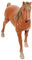 VICASKY Modellpferd Plastikpferdestatue Kleine Pferdeverzierung Statuen Von Nutztieren Anime-pferdefigur Pferd Tortenaufsatz Kinder-Pferd- Pferdeskulptur Dekor Spielzeug