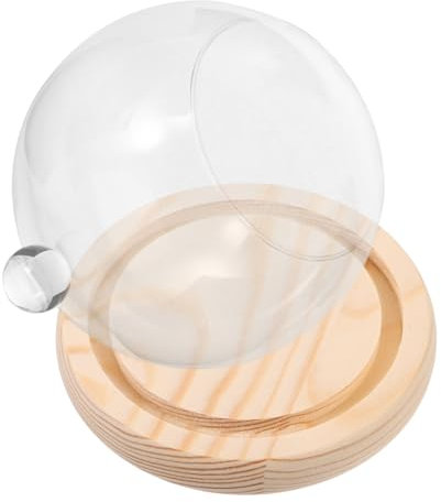 OFFSCH 1ensemble Cloche Verre avec Base Bois pour Présenter Fleurs Éternelles Et Paysages Vitrine Décorative Verre Transparent pour Artisanat Et Décoration Intérieur