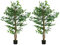HOMCOM Lot de 2 Plantes artificielles Arbres artificiels ficus Hauteur 1,50 m Tronc Branches Liane Lichen Feuilles Grand réalisme Pot Inclus, intérieur, Vert