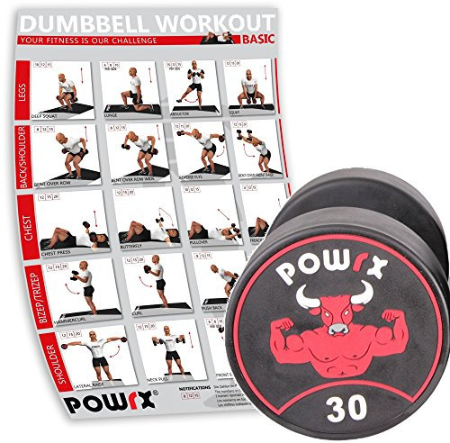 POWRX Professionell Rundhantel Einzeln inkl. Workout I Gummi Kurzhantel Beschichtung GERUCHSNEUTRAL 5-30 kg I Verchromt und gerändelt I Studioqualität (30)
