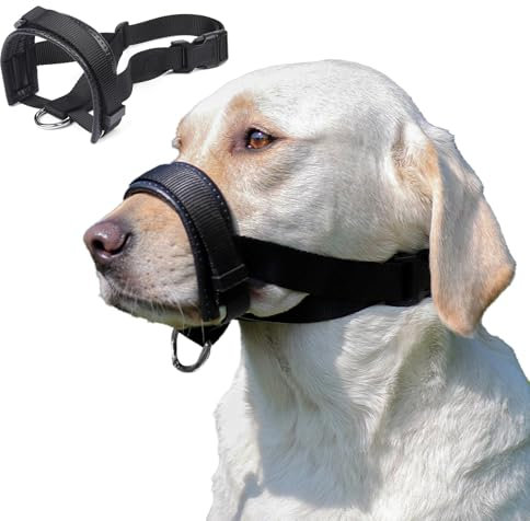 Maulkorb Mittlere/für Große Hunde,Fressschutz Hund, Verstellbarer Maulkorb aus Leder,Anti-Kau-Mundschutz für Hunde,Einstellbarer Mundumfang (L)