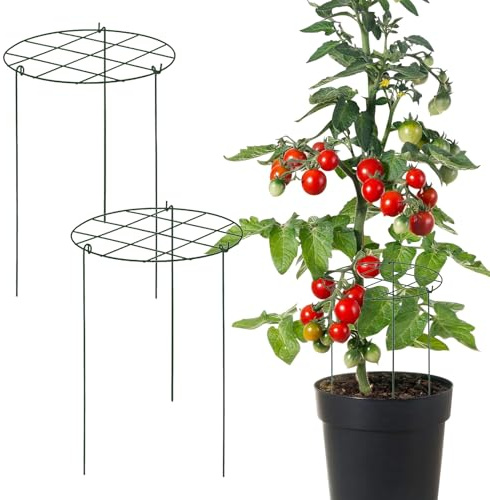 Rankgitter für Pflanzen, Klettergitter, Set mit DREI langlebigen Dornen, starker Rahmen, Gemüse, Tomaten, Gurken, Trauben, Clematis, Jasmin, für drinnen und draußen, Terrasse, Hof, Bauernhof,