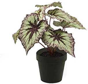 artplants.de Begonia Rex sintética Meira, Verde-Violeta, 25cm - Begonia Artificial - Planta Falsa
