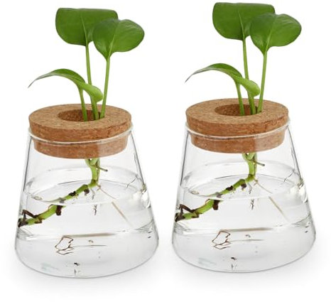 BIUDECO 2pcs Glass Hydroponics Vase Plant Container Home Office Decor Unique Planter for Desktop Wood Glass Material Plant Lovers