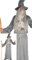 FIESTAS GUIRCA | Allmächtiger Zauberer Kostüm für Herren (54-56/XL) - Enthält Tunika, Hut und Gürtel - Ideal für Halloween, Karneval und Themenpartys - Hexenmeister- und Zauberer Kostüme - Grau