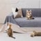 Loiion Sofaschutz Katze, Sofabezug 2 Sitzer Couch Schutz Katze, rutschfeste Couch Überwurf, Sofabezug Wasserdicht, Schonbezug Sofa für Haustier Kinder Katzen Hunde, Grau, 300x230cm