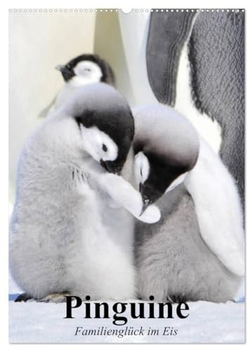 Pinguine. Familienglück im Eis (Wandkalender 2026 DIN A2 hoch), CALVENDO Monatskalender: Pinguine in ihrem natürlichen Lebensraum (CALVENDO Tiere)