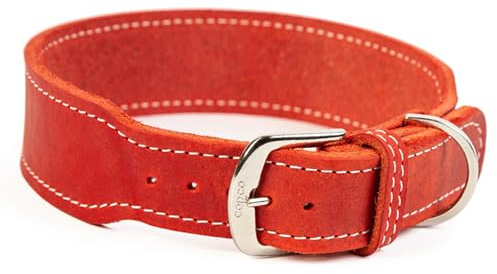 CopcoPet Hundehalsband Leder – Handgefertigtes Lederhalsband für mittelgroße, große Hunde – Halsband Hund – Verstellbar & Robust – Zoe, Rot, 50 – 55cm 40mm breit, Verchromte Beschläge