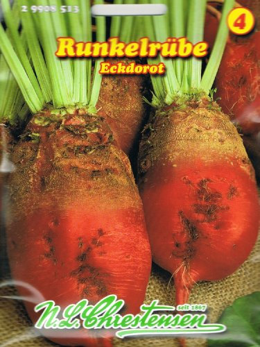 Runkelrübe Eckdorot Futterrübe Typ Rote Walze Rübe ca. 600 Korn
