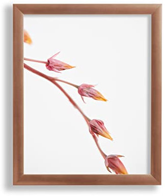 Vogel Design Bilderrahmen Arne 60 x 90 cm Kupfer Dekor MDF mit klarem 1 mm Kunstglas - Farbe und Größe frei wählbar