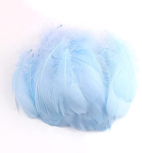 100 Stück Bunte Feder zum Basteln Naturfedern Gänsefedern Indianer Bastelfedern für DIY Kunstwerk Masken Hüte Ohrringe Haarschmucken Traumfänger Hochzeit Karneval Party Dekoration,7-12cm Hellblau