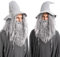QUEENTAS Lang Grau Perücke Herren Magier Zauberer Cosplay Perücke Männer Perücken und Bart für Halloween Party Kostüm Fasching (Grau)