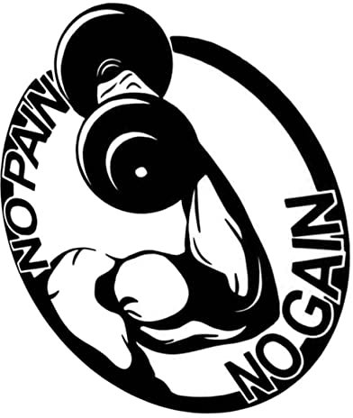 SEWACC Wandsticker Fitnessstudio Hantel Design Persönlichkeits Wandpaste Schlafzimmer Hintergrundaufkleber Wiederverwendbare Wanddekoration für Wohnzimmer Selbstgemacht Raumgestaltung