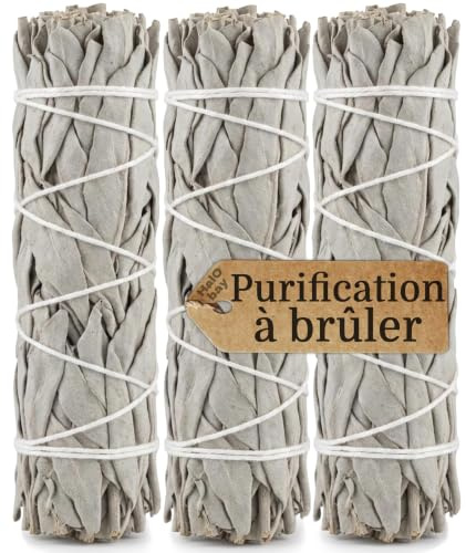 3 Sauge Blanche Purification à brûler Encens Naturel sans Additifs Bâton 10cm Rituel Méditation Yoga Nettoyage Énergétique Relaxation Bien Être Spirituel Sage Salvia Apiana bâtonnet Sauge