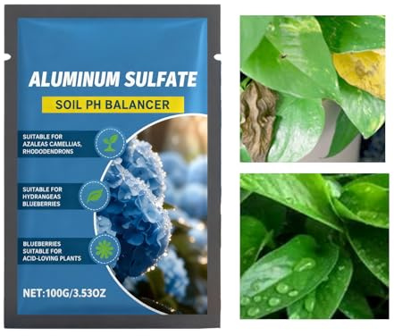 Hydrangea Blue Fertiliser, 100g Acidic Soil Powder, Long Lasting PH Adjustment Amendments, Slow Release Botanical Nutrition Mix, Color Changing Plant Care Formula, for Friends Enthusiast