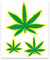 Quattroerre 6022 Aufkleber Marijuana, 10 x 12 cm