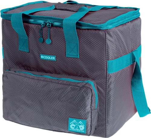 Cao assortie GLACIERE SOUPLE litres FRESHCAO 30 35 x 29 x 33 cm 420D Honey comb (exterieur) -Mousse EPE 7 mm épaisseur (Intérieur) Adulte unisexe, 35x29x33cm, Gris/bleu