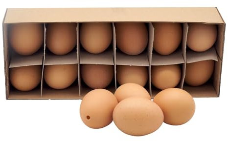 ZauberDeko Hühnereier Natur Braun 5,5cm Deko Ostern Dekoration Tischdeko Frühling 12 Stück
