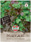 83045 Sperli Premium Salat Samen Mix | Pflücksalat Samen | 3 Sorten | Salatsamen Pflücksalat | Lollo Rosso Samen | Salad Bowl | Amerikanischer Brauner