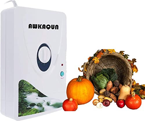 Generatore di Ozono Domestic 600 mg/h, Ozonizzatore Acqua Timer Digitale Portatile Macchina di Disintossicazione per frutta verdura carne Hydro acqua dolce Rad-Timer - 1-60 min (1)