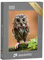 puzzleYOU: Puzzle 1000 Teile „Das niedliche einsame Eulenbaby“ – aus der Puzzle-Kollektion Eulen, Vögel, Exotische Tiere & Trend-Tiere