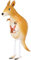 Airwalker Folienballons * Laufende Tiere * als Deko für Geburtstag und Party | 34-115cm groß | Walking Animals Kinder Kindergeburtstag Partydeko Luftballons Ballons, Edition: Känguruh