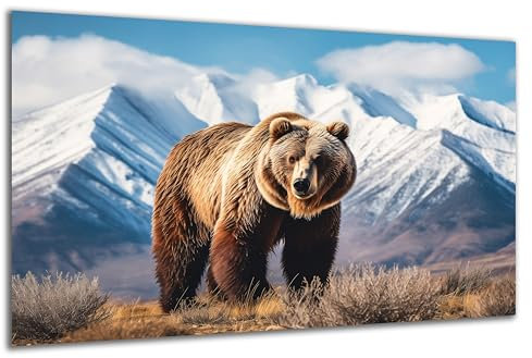DARO Design - Wand-Bild auf 6mm HDF 84x56 cm Braun Bär Gletscher - Wand-Deko Bilder Geschenk