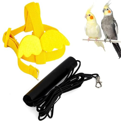 Harnais pour Perroquet,Harnais pour Oiseaux,Laisse De Perroquet,Harnais Réglable pour Oiseaux,Anti-Morsure Harnais De Dressage,Avec Corde Traction 2 M,Applicable à Calopsittes,Conure à Joues Vertes