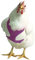 Huhn Geschirr Walk Your Huhn, Small, violett