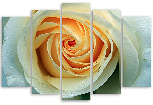 Feeby Bild Kunstdruck XXL Moderne Wandpaneele 3D Rose Blume Orange 100x70 cm