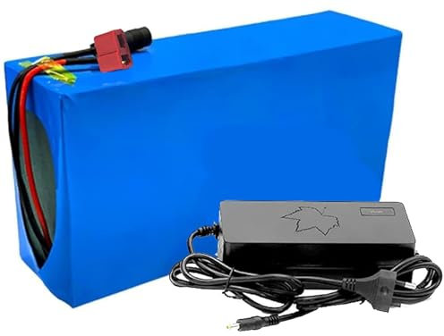 Batterie De Vélo Électrique 52V 60V 36V 48V 8AH 10AH 12AH 15AH 18AH 20AH 25AH 30AH Batterie Li-ION Rechargeable pour Vélo Électrique Ebike, avec Chargeur T Plug 48V25AH,T