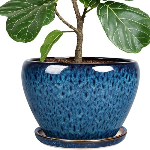 Deep Dream 25,4 cm großer Blumentopf aus Keramik, rund, für Zimmerpflanzen, Outdoor, großer Blumentopf mit Ablauflöchern und Tabletts, Blau