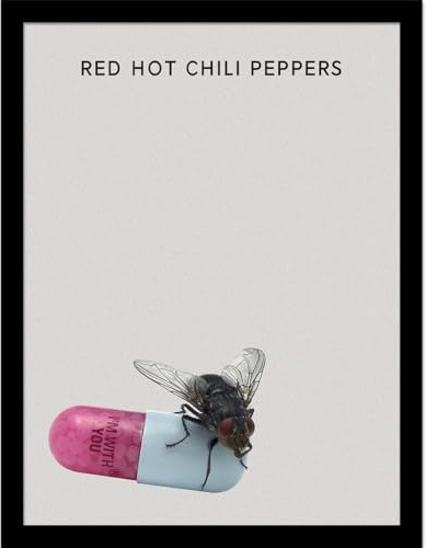 Pyramid International Red Hot Chili Peppers (I'm With You) Sammlerdruck – 30 cm x 40 cm Wandkunst-Poster – Offiziell lizenziertes Musikdekor – Einheitsgröße