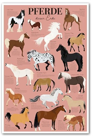 Close Up Pferde dieser Erde Poster – Illustriertes Lernposter für Kinder & Pferdefans | Rosa | liebevoll & von Hand gestaltet, die bekanntesten Pferderassen | Wissensposter Pferderassen 61×91,5 cm