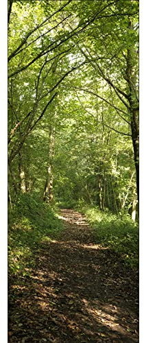 PLAGE Papier Peint Intissé Photo Nature Forêt Chemin Promenade Panoramique 250 cm X 96 cm pour Décoration Murale